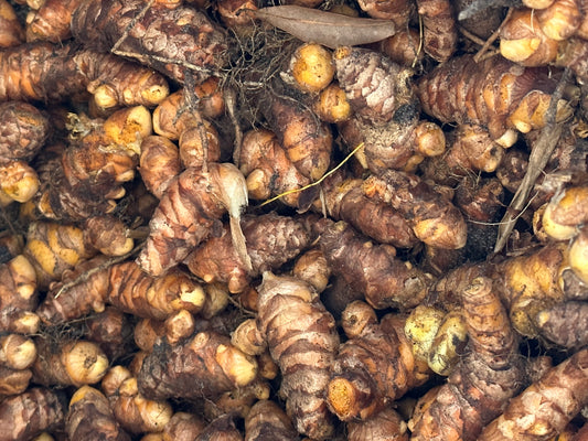 ORGANIC TURMERIC